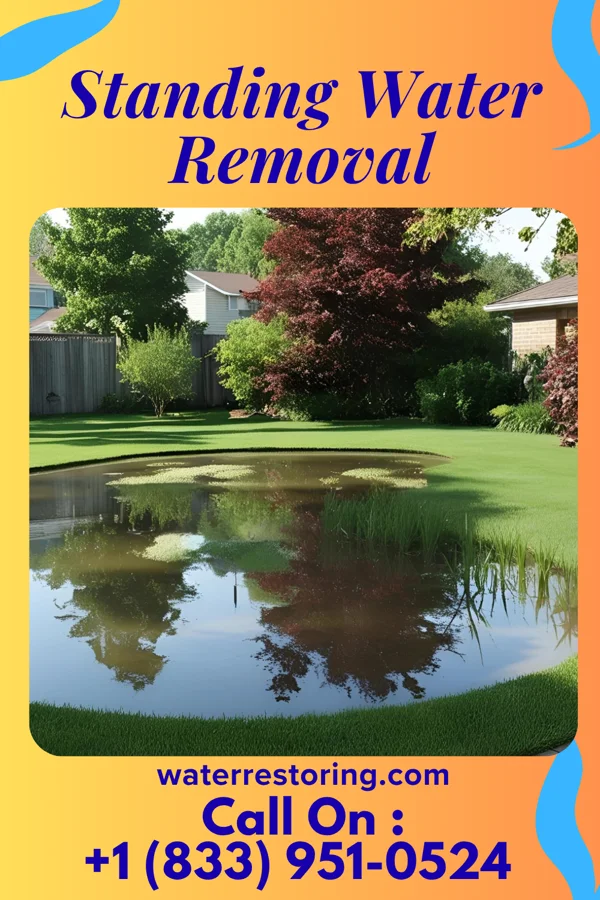 Standing Water Removal in Brookston, MN